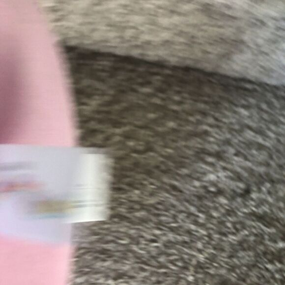 NEW 2024 Squishmallow 16" Valentines CHAMBLESS THE HAMPSTER FIRST TO MARKET - Picture 11 of 12